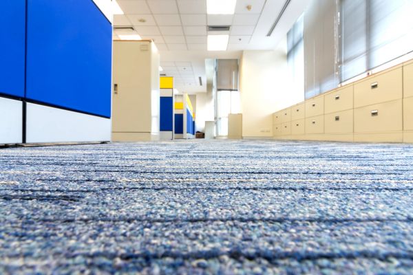Business Carpet Cleaning in Phoenix