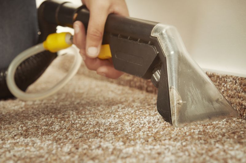 Carpet Restoration Specialists